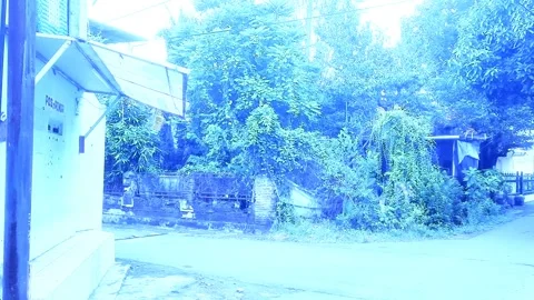 Cafe with Plants, Snowy Look Stock Footage 326183294