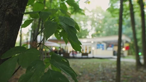 Cafe in the public park defocused Stock Footage 273008109