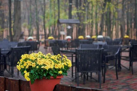 Cafe on rainy day Stock Photos