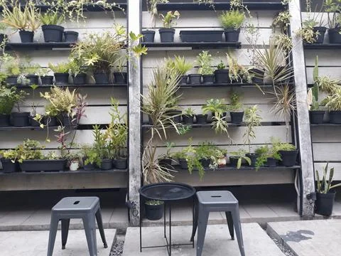 A café table and chairs with stone floors and plant decorations on the walls 스톡 사진