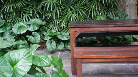 A café table and chairs with stone floors and plant decorations on the walls Фото
