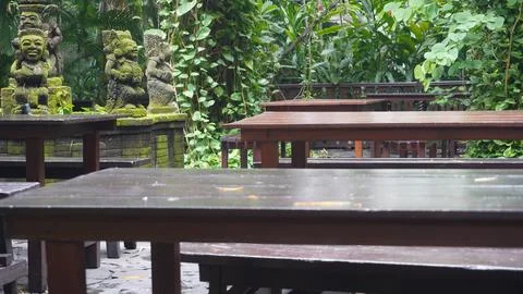 A café table and chairs with stone floors and plant decorations on the walls Photos