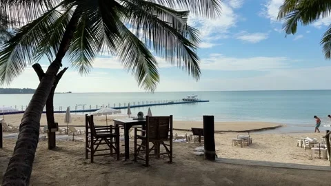 Cafe table next to the palm with beautiful view Stock Footage 277608790