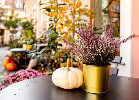 Cafe Table Outside Stock Photos