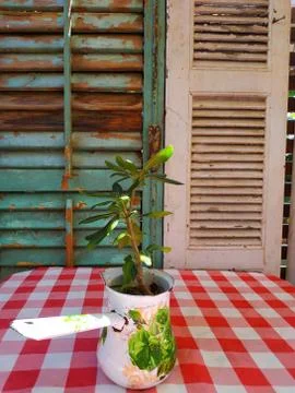 Cafe table with window and flowers in the street Stock Photos