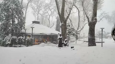 The cafe under the snow Stock Footage 185151046