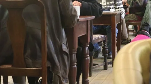 Cafe with well behaved dog Stock Footage 86288925