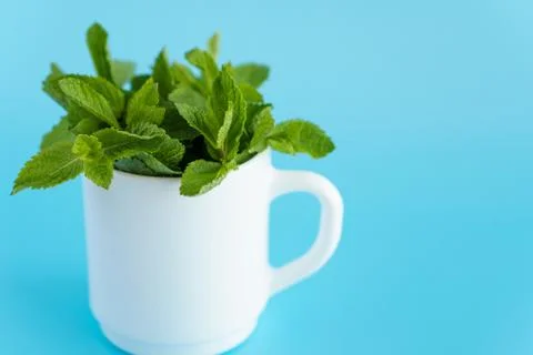 Cafes and restaurants, refreshing drinks, natural products, healthy food concept Stock Photos