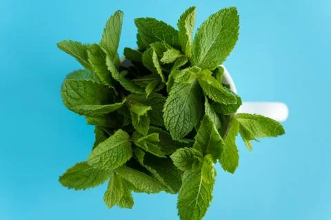 Cafes and restaurants, refreshing drinks, natural products, healthy food concept Stock Photos