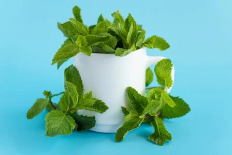 Cafes and restaurants, refreshing drinks, natural products, healthy food concept Foto stock