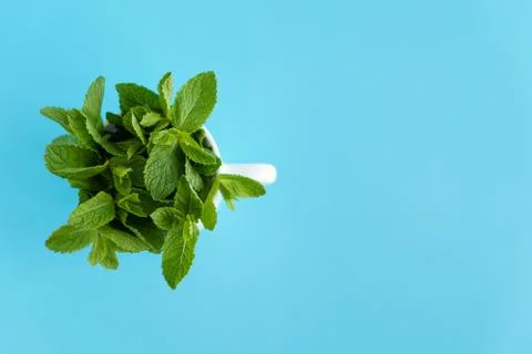 Cafes and restaurants, refreshing drinks, natural products, healthy food concept Stock Photos