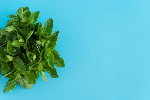 Cafes and restaurants, refreshing drinks, natural products, healthy food concept 스톡 사진
