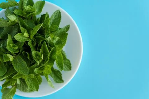 Cafes and restaurants, refreshing drinks, natural products, healthy food concept 写真素材