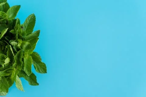 Cafes and restaurants, refreshing drinks, natural products, healthy food concept 写真素材