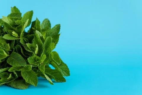 Cafes and restaurants, refreshing drinks, natural products, healthy food concept Stock Photos