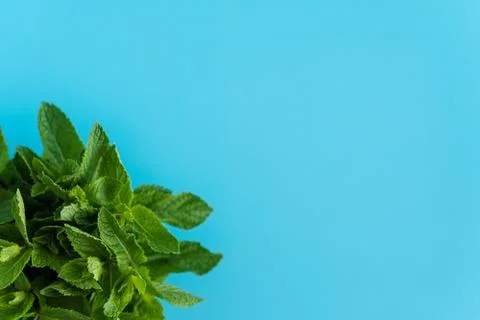 Cafes and restaurants, refreshing drinks, natural products, healthy food concept 写真素材