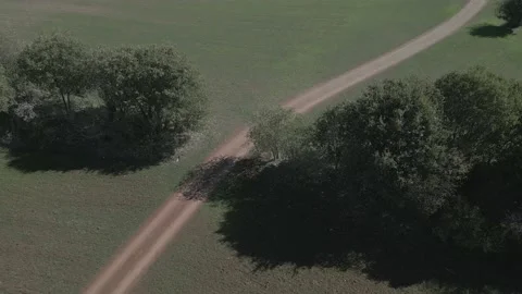 Caffarella orbit trees running man Video stock 219605767