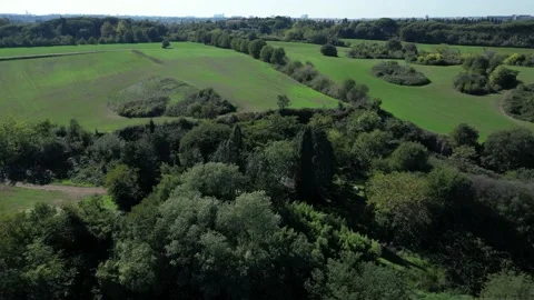 Caffarella park aerial drone forward view Video stock 219473735
