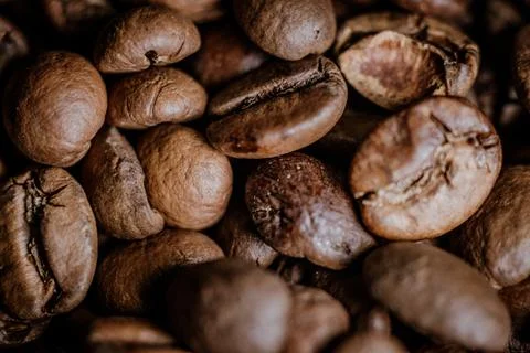 Caffe beans macro 库存照片