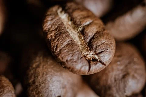 Caffe beans macro 库存照片