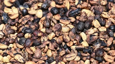 Caffe macchiatto textured macro during prepare drink Stock Footage 171834981