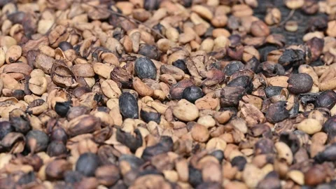 Caffe macchiatto textured macro during prepare drink Stock Footage 171835013
