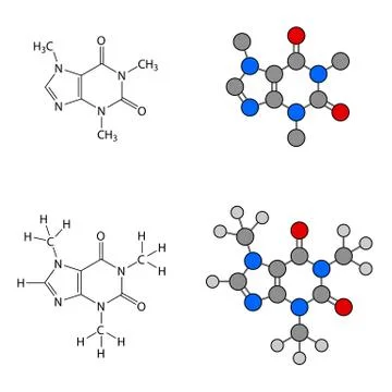 Caffeine molecule - structural chemical formulas and models Stock Illustration