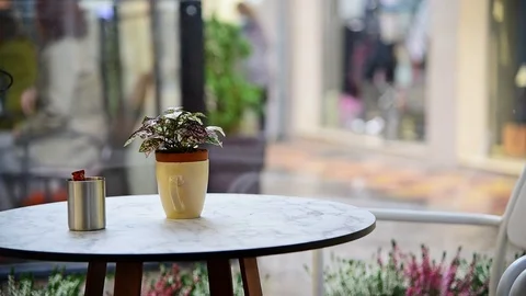 Caffeteria table with decorative plant and unfocused background. Stock Footage 119793638