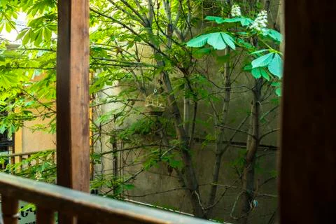 Cage for bird Stockfoto's