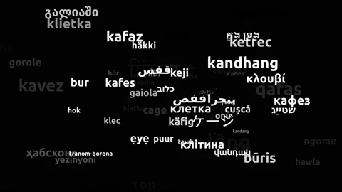 Cage Translated in 72 Worldwide Languages Endless Looping 3d Zooming Wordclou Stock Footage 145206337