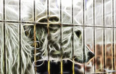 Caged and abandoned dogs Stock Illustration