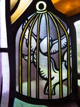 Caged doves Stock Photos