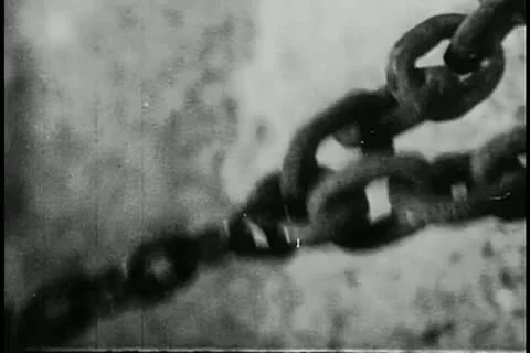 Caged lion pulling on chain Stock Footage 11350001
