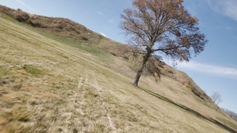 Cahokia Mounds Dutch Angle Roll Tilted Horizon effect Stock Footage 90651904