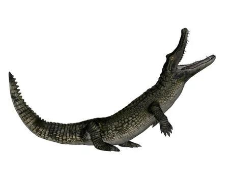 Caiman roaring up - 3D render Stock Illustration