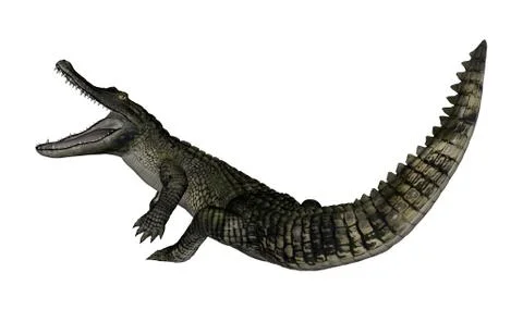 Caiman roaring up - 3D render Stock Illustration
