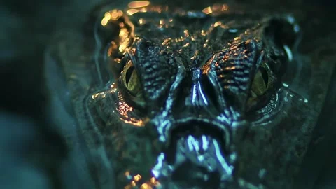 Caiman's eye with vertical pupils above the water surface in a zoo aquarium Stock Footage 241576128