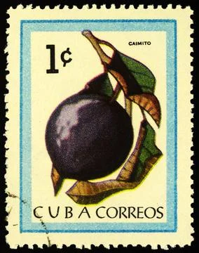 Cainito fruit on postage stamp Stock-Fotos