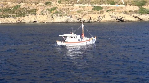 Caique Passing Stock Footage 70604604