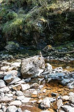 Cairn stack by clear river in rocky stream bed with forest background Stock Photos