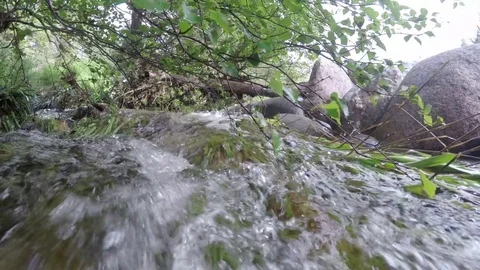 Cairngorm River turbulent water over rocks and foliage Stock Footage 78242529