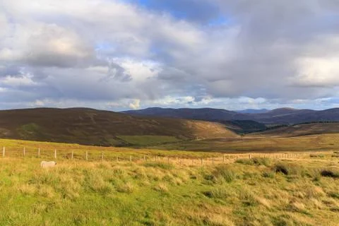 Cairngorms Landscape Stock Photos