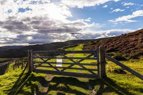 Cairngorms Meadows Stock Photos