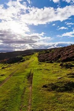 Cairngorms Meadows Stock Photos
