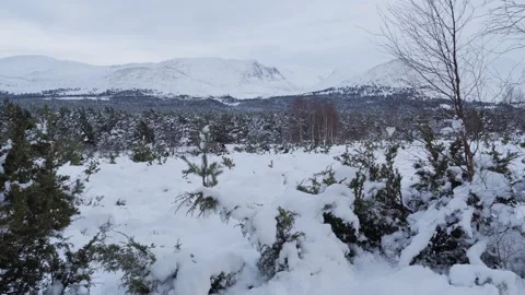 Cairngorms snow Stock Footage 243110931