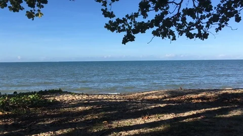 Cairns Beach Stock Footage 89013386