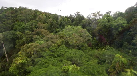 CAIRNS DAINTREE RAINFOREST CABLE CAR LIFT Video stock 46914472