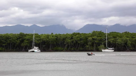 CAIRNS DAINTREE RAINFOREST PACIFIC OCEAN Stock Footage 46915591