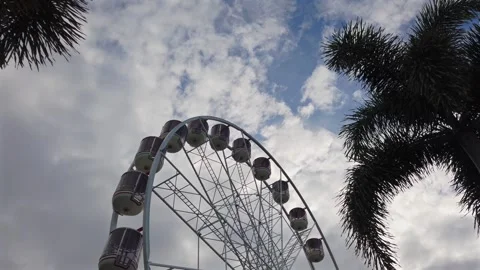 Cairns  Stock Footage 321154771