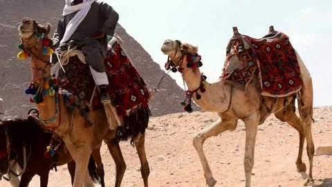 CAIRO, EGYPT - August 04, 2017: Egyptian man rides a camel and leads another one Stock Footage 79606579
